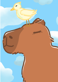Capybara draw by adsukicat