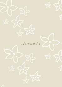 small flowers with white lines10 Japan