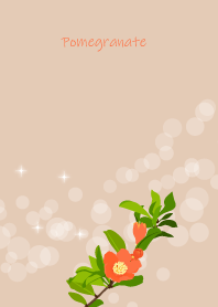 August's birth flower,Pomegranate
