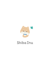 Shiba Inu3 Clover - White