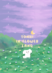 Tonki in Flower land