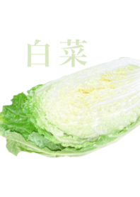 Chinese cabbage 7