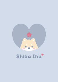 ชิบะอินุ2ดอกซากุระ[ไอซ์บลู]