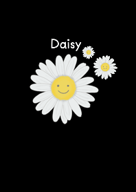 Daisy V.2