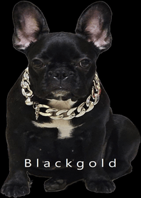 black gold girl