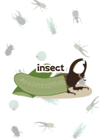 kurumi insect2