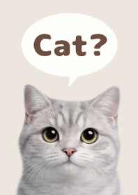 British Shorthair Simples 3 Beige 01