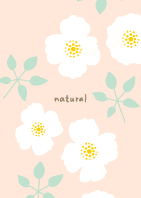 2types of white flowers leaves18 Japan