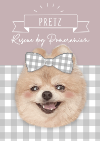 Rescue dog pomeranian Pretz theme