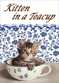 kitten in a teacup - navy blue