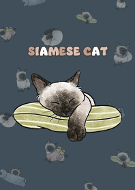 siamesecats4 / indigo