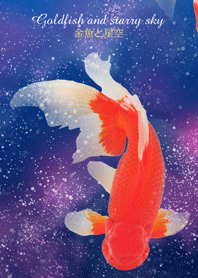 goldfish and starry sky