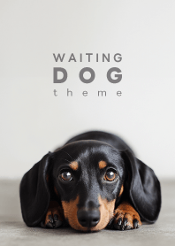 WAITING DOG - ダックスフント S 01/BT -