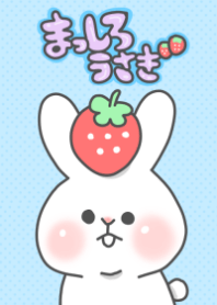 White rabbit and strawberry