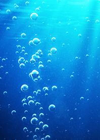 sparkling underwater world