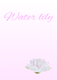 花シリーズ Water lily