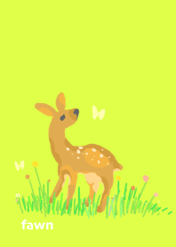 Fawn flower
