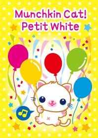 Munchkin Cat!  Petit White
