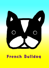 Refreshing French Bulldog