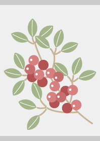 Nandina berries on gray