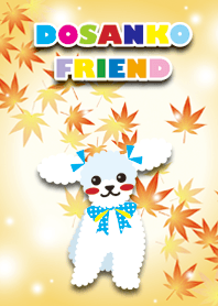 RUBY&FRIEND [toy poodle/White] Autumn