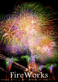 Fireworks blooming in the night sky