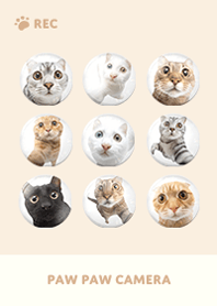 Paw Paw Camera -  Beige 05