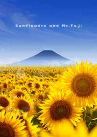 Sunflowers and Mt. Fuji