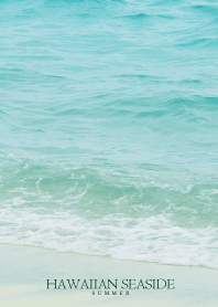 HAWAIIAN-SEASIDE SHELL- 15