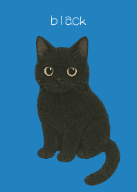 Round Black Cat2 on blue
