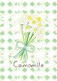 Camomile