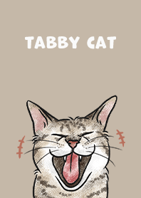 tabbycat4 - dark tan
