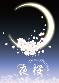 Cherry Blossoms at night