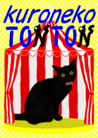 黒猫のトントン
