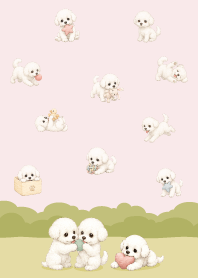 可愛快樂比熊犬-白6