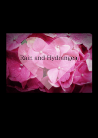 Hujan dan Hydrangea /3 #fresh