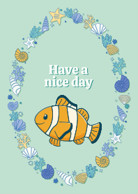 shells and anemone fish