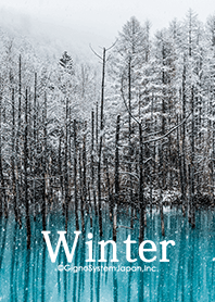 Fantastic winter pond