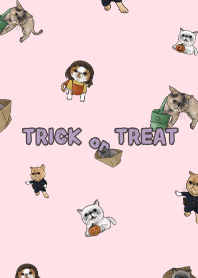 meow's halloween3 / pink