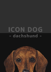 ICON DOG - dachshund - BLACK/02