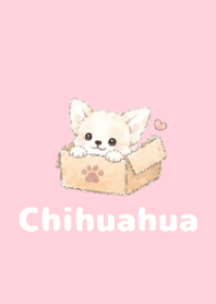 Sketch Chihuahua Pink 03