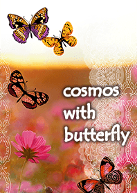 cosmos with butterfly