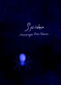 Spider ~Messenger from Heaven~