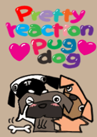 Pretty reaction Pug dog