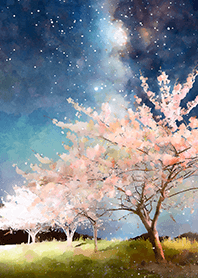 Beautiful night cherry blossoms#1342