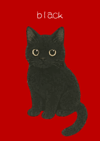Round Black Cat2 on red & beige