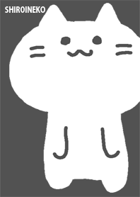 白い猫