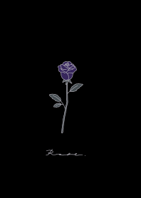 Rose / 黒と紫