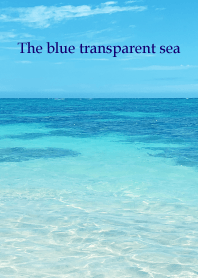 The blue transparent sea SHELL 24