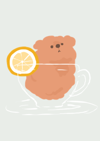 ティープードル